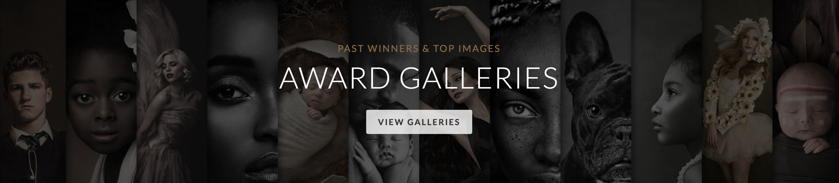 photography awards, the portrait masters, awards and accreditations