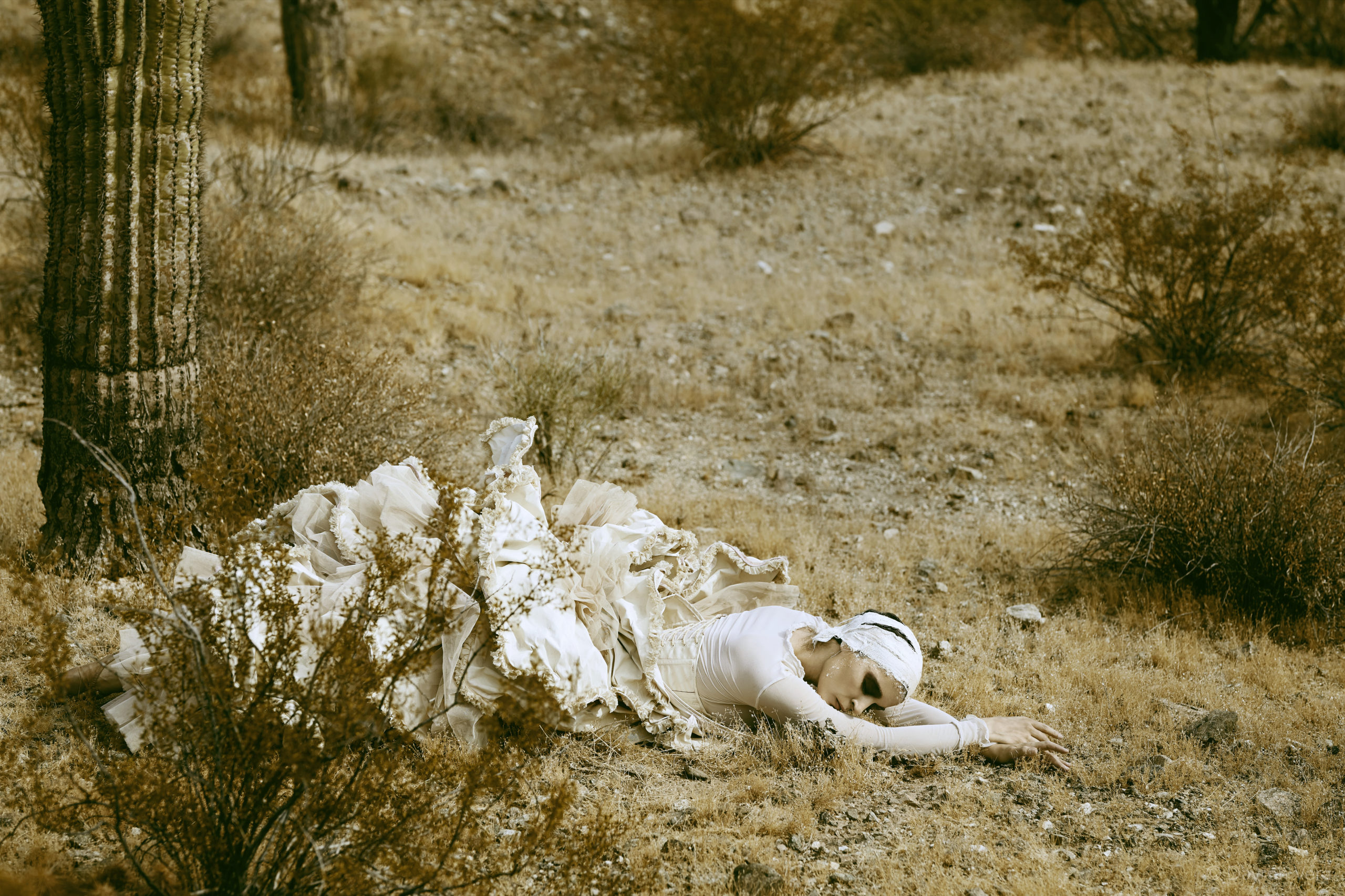 ballerina dancing in the Phoenix desert, styled photoshoot by Dayron Vera